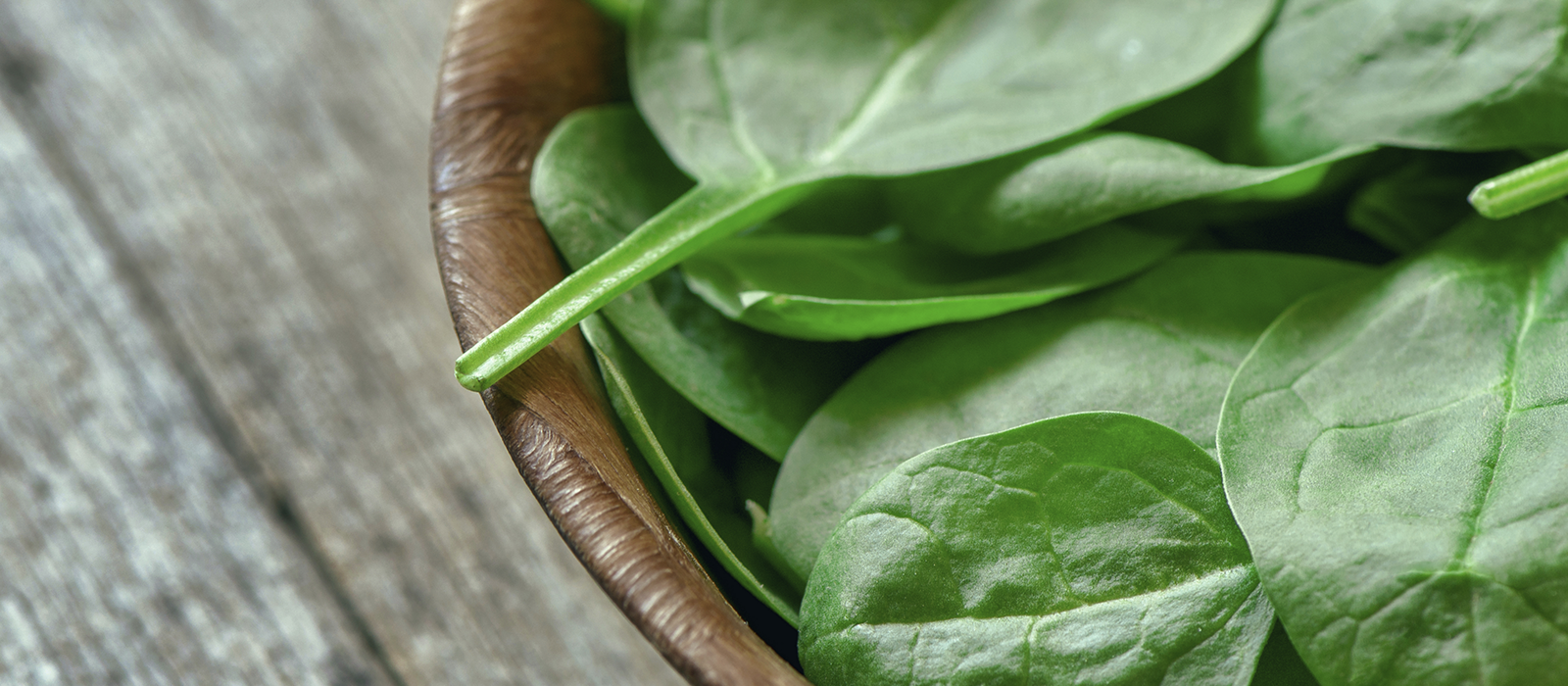 Health & Wellness Eat Spinach Everyday, Make Your Brain 11 Years